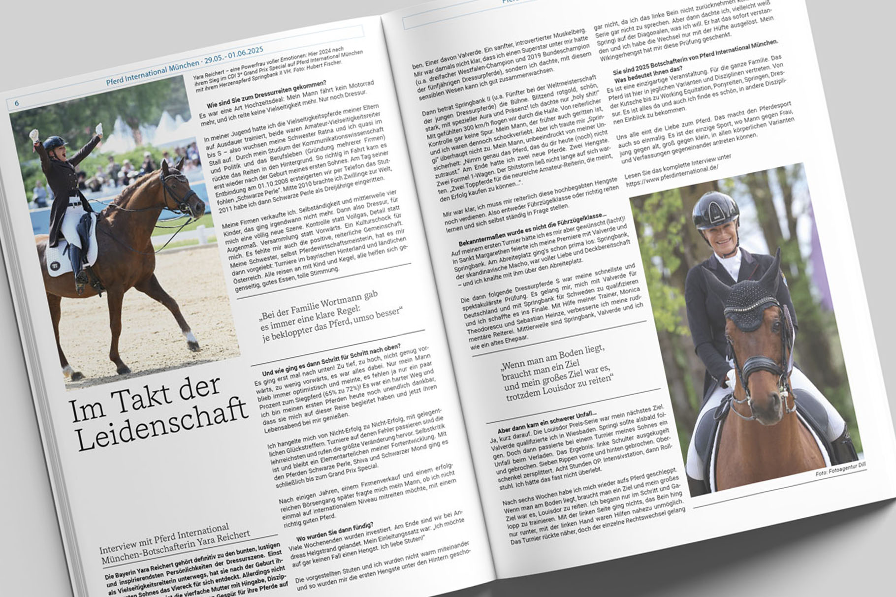 wiebke_pforr_grafik_pferd-journal2